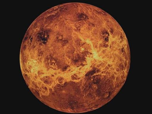 В NASA уверены в существовании жизни на Венере