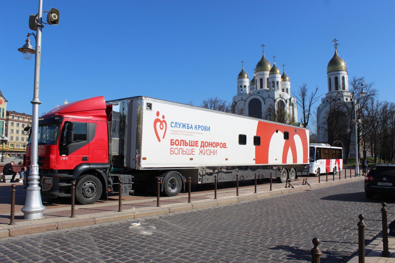 Сегодня в Калининграде отметят Всемирный день донора