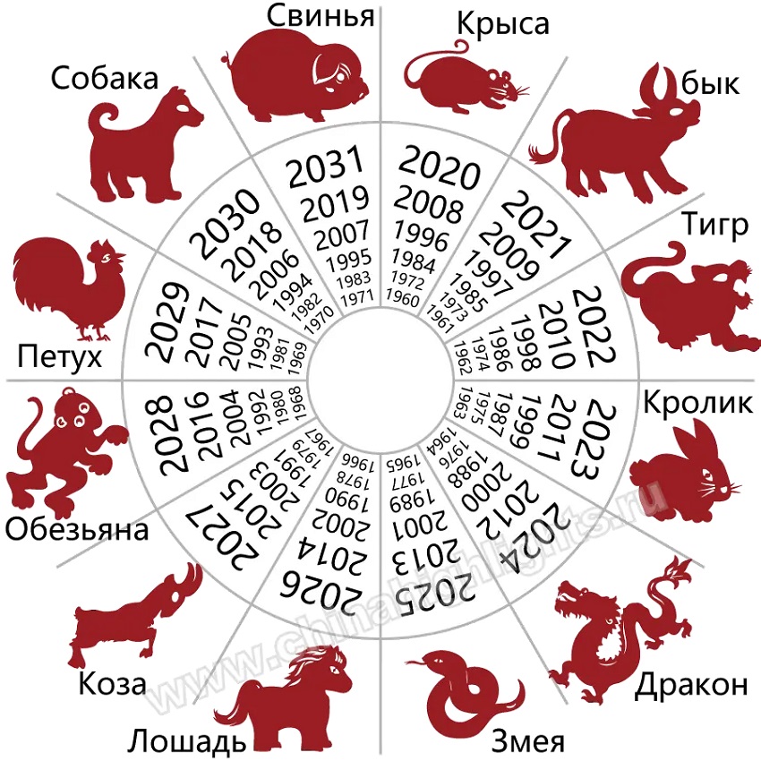 000 zodiaco 7