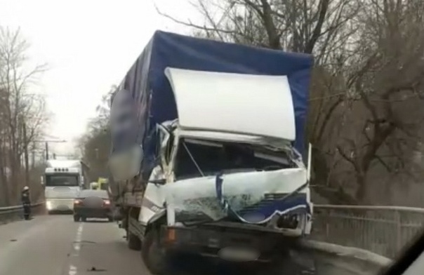 В Калининграде на грузовик упало дерево