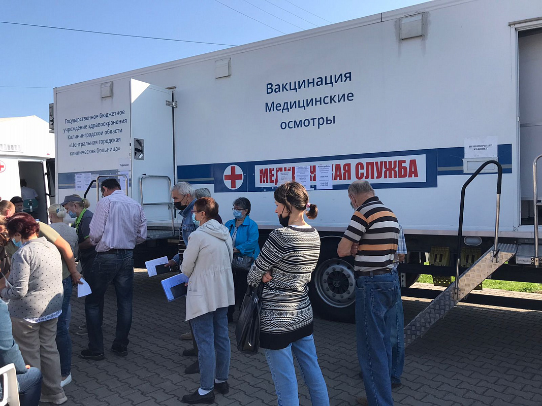 В Калининградской области 530 человек оштрафованы за отсутствие теста на COVID-19