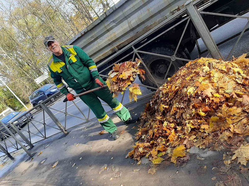 Сотрудники МБУ «Чистота» почистили Калининград после прогулки «Хендрика»