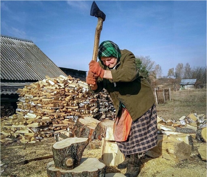 Селяне Калининградской области гадают, где брать дрова, чтобы зимой дома отапливать?