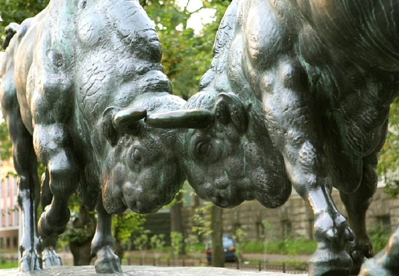 «Калининградские быки» - символ политической борьбы за кресло депутата Госдумы