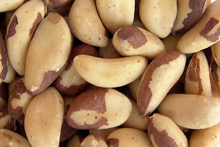 10 тонн бразильского ореха прибыло в порт Балтийск по поддельному фитосанитарному сертификату