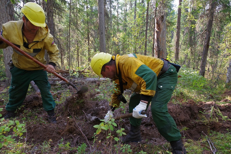 Авиалесоохрана сообщает: За неделю в 30 регионах России потушен 81 лесной пожар