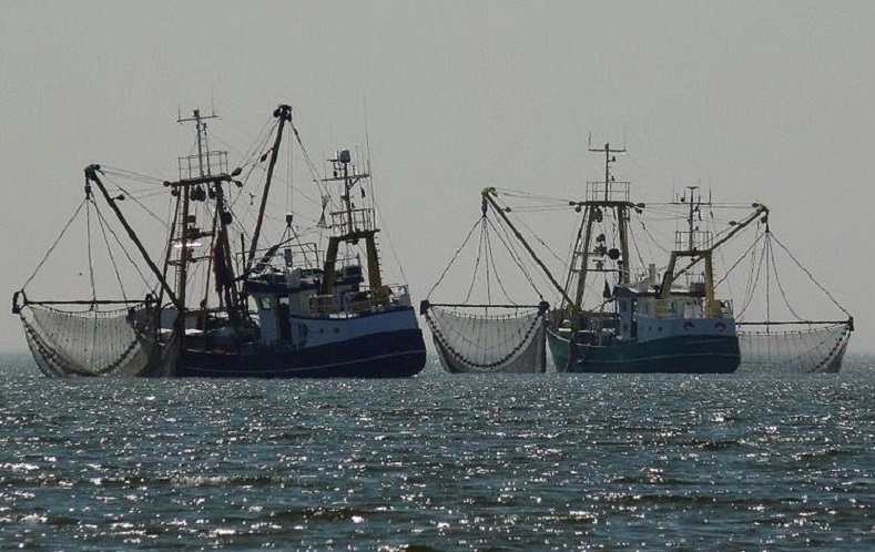 Губернатор Алиханов не видит перспектив в развитии рыбодобывающей отрасли региона