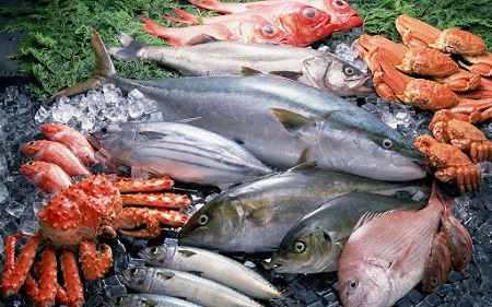 Откуда рыба? Из Эквадора, вестимо! Кто кормит калининградцев морепродуктами?