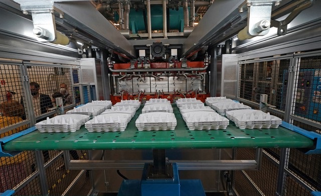 Губернатор Алиханов оценил качество упаковки для яиц