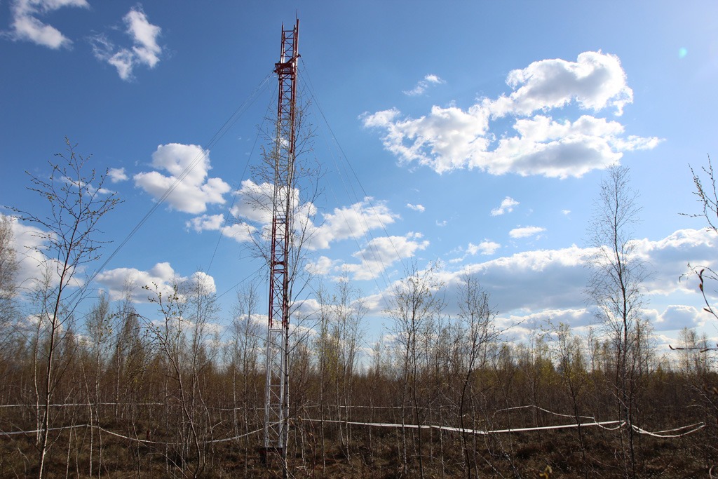 В Калининградской области устанавливают оборудование для оценки содержания парниковых газов