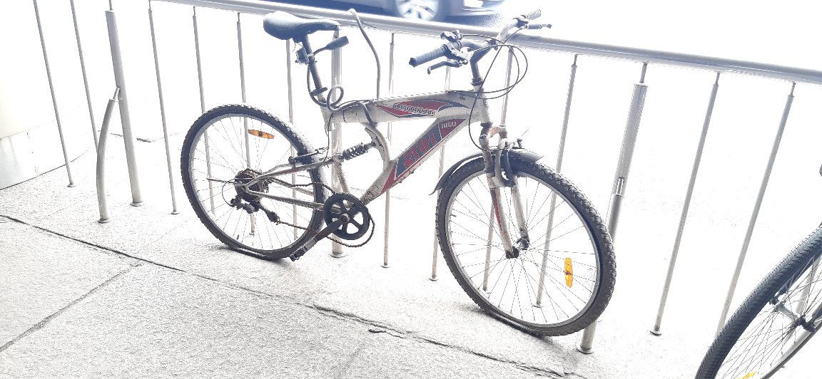 Мэрия Калининграда ищет хозяина брошенного велосипеда