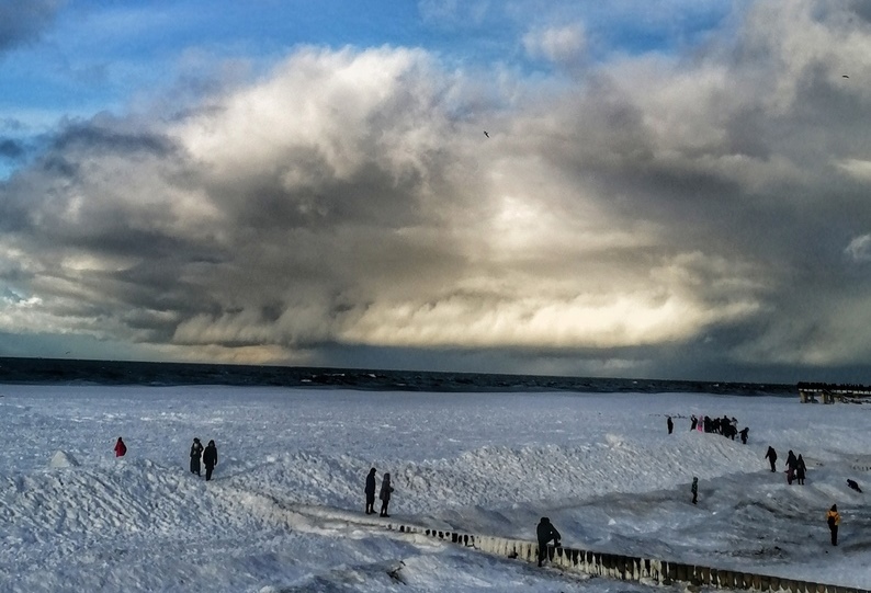 Жители и гости Калининградской области могли стать свидетелями редкого для зимы явления