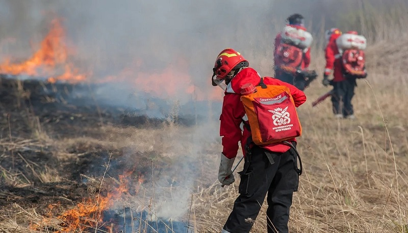 Тушить пожары в Калининградской области будут добровольные лесные пожарные