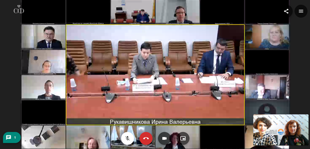 Калининградцы приняли участие в конференции в Совете Федерации