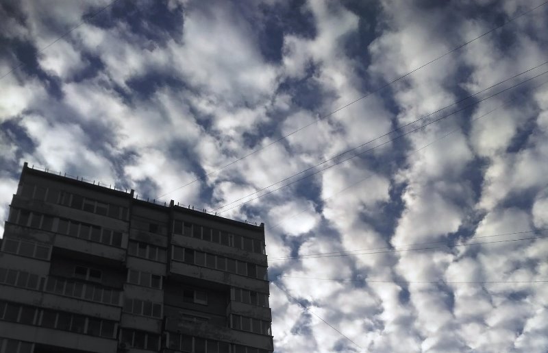 Над Калининградом висят высококучевые волнистообразные облака