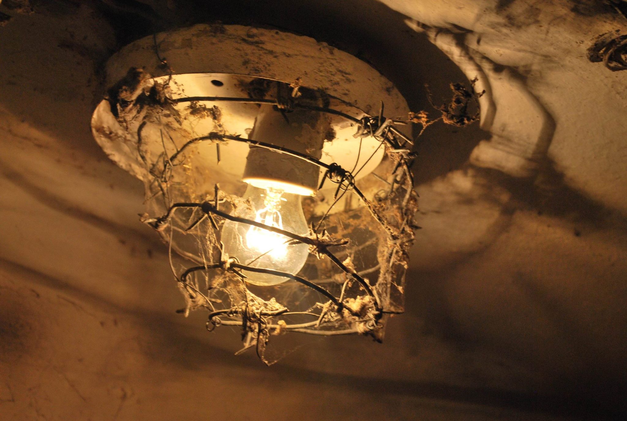 Осторожно, воруют: в Калининграде замена лампочки дорого обошлась пенсионерке