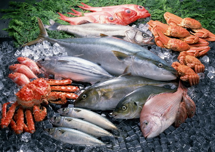 Дожили: в Калининградскую область в мае ввезли более 5 тыс. тонн рыбы и морепродуктов из 17 стран мира
