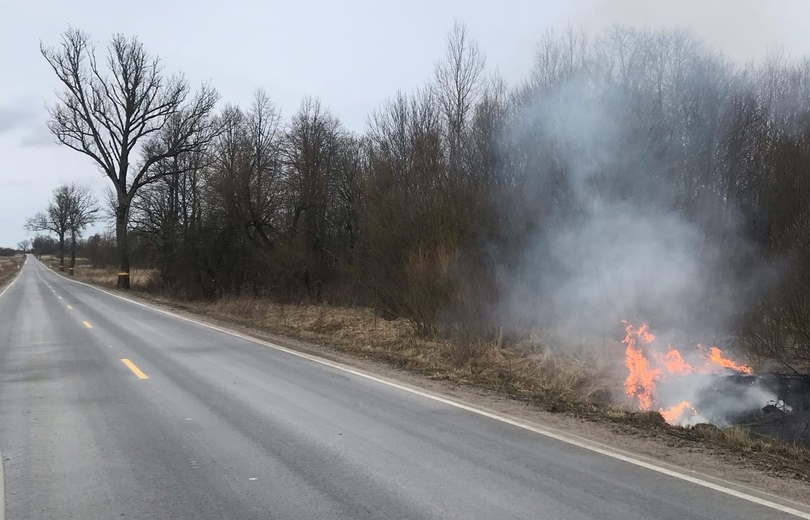 Регион в огне: в Калининградской области настала пора больших палов травы