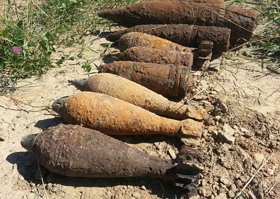 В Калининградской области обезвредили пять боеприпасов времён войны