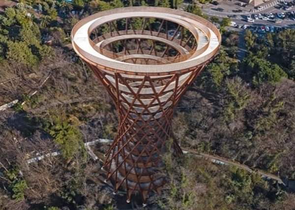 В Национальном парке в Калининградской области хотят построить 45-метровую обзорную башню