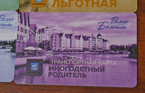 В Калининграде уточнён порядок приобретения льготных проездных билетов многодетными родителями