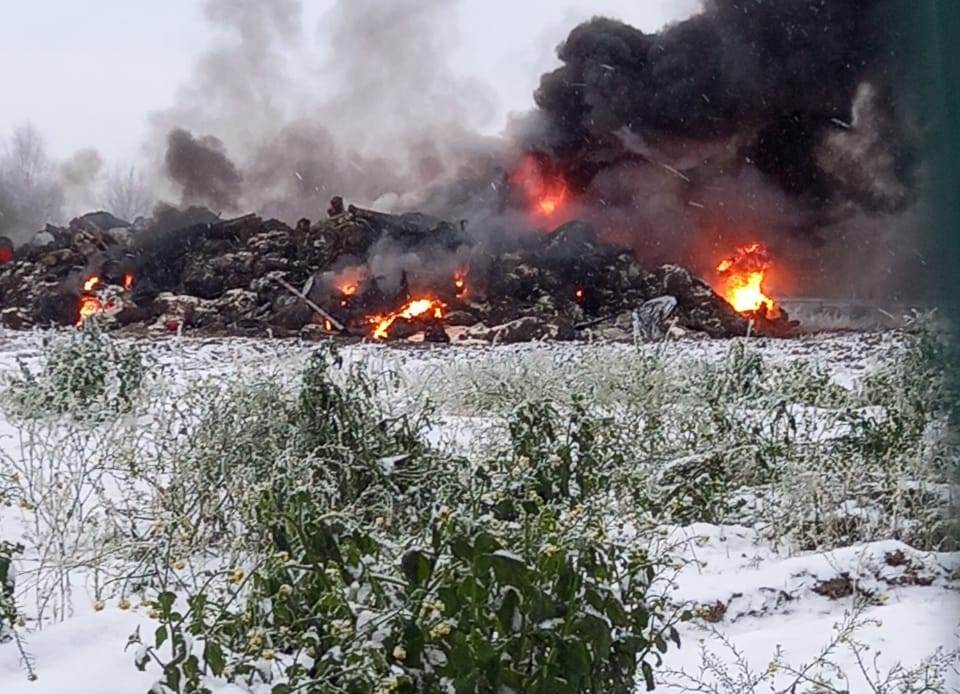 В Калининградской области трупы животных сжигают прямо в поле