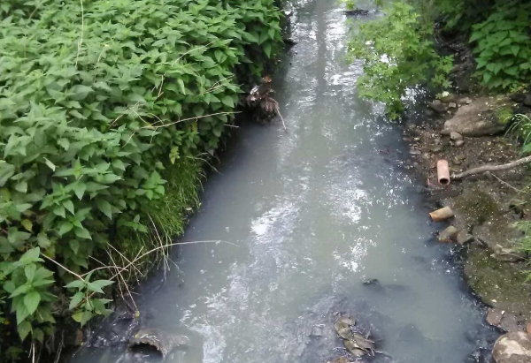 ОНФ просит провести серию проверок по факту загрязнения реки Лесная в Калининграде