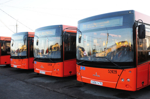 С 7 сентября в Калининграде изменилось движение автобуса № 18