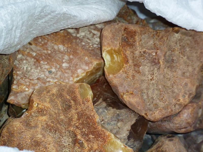 Дайвера с 12 кг незаконно добытого янтаря задержали калининградские полицейские