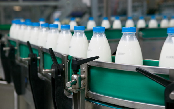 Калининградская область остается лидером в молочном производстве России