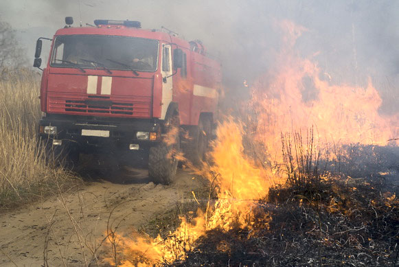 На самом краю Калининградской области в Мамоново ликвидировано возгорание камыша