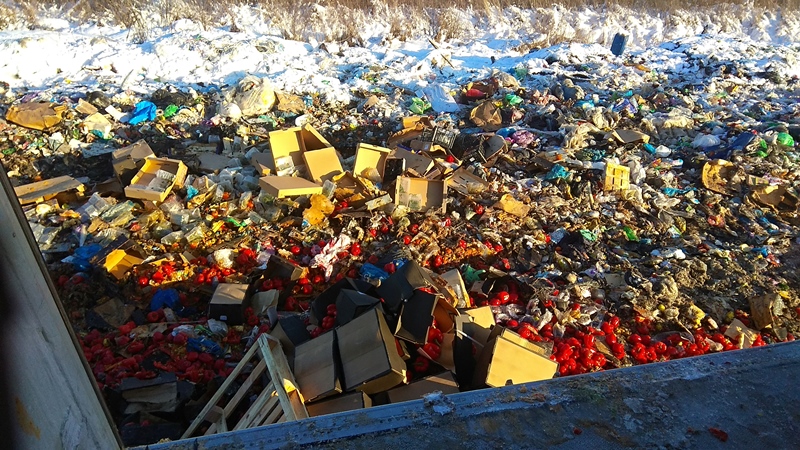 На полигоне в Калининградской области уничтожено более 20 тонн овощей и фруктов