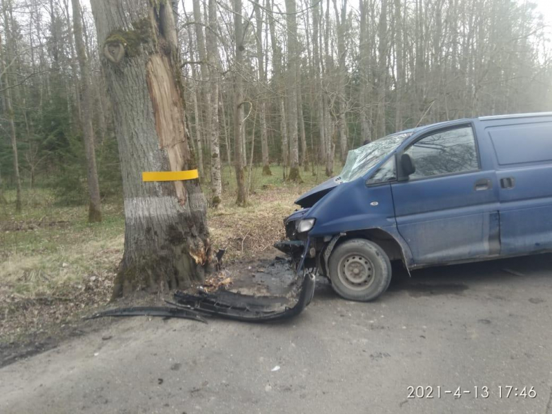 В Калининградской области возбуждено уголовное дело по факту наезда автомобиля на придорожное дерево