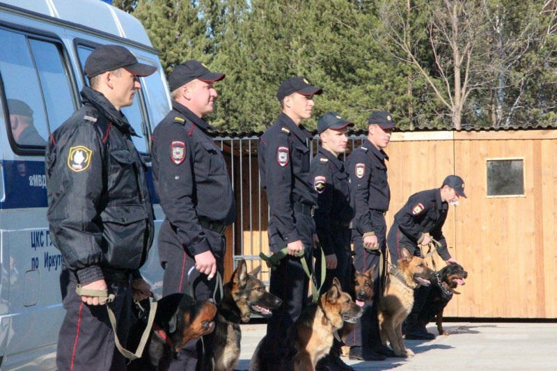 Достойные открытки с Днем конвоира и добрые слова в профессиональный праздник 13 мая