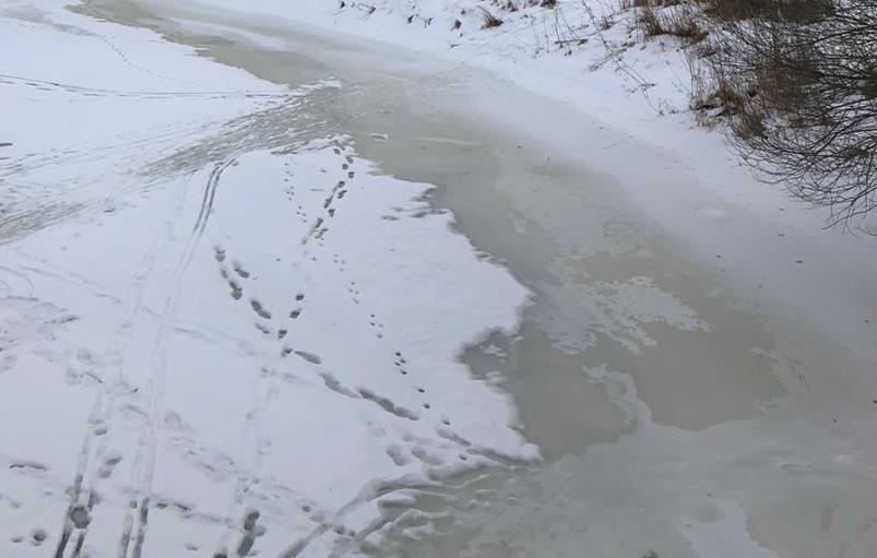 В Калининградской области ожидается разрушение прибрежного льда