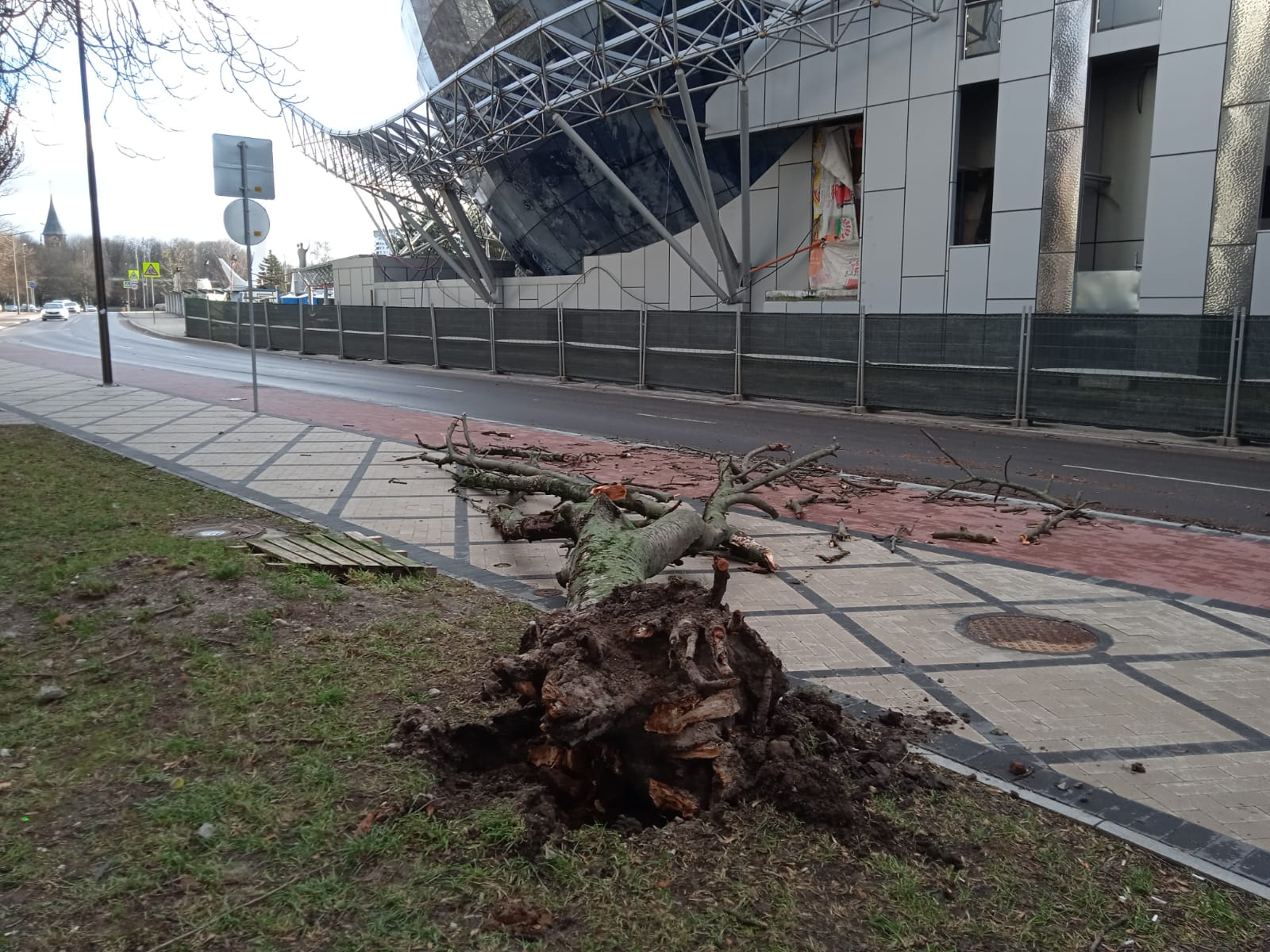 В Калининграде подсчитывают убытки от урагана «Надя»