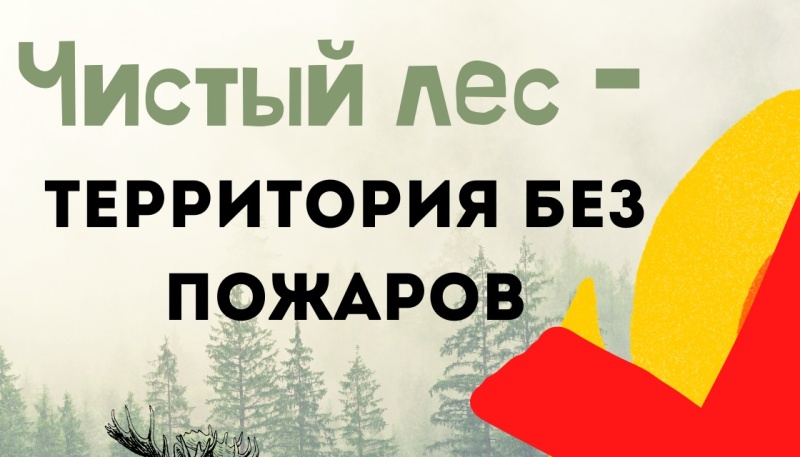 В Калининградской области пройдет акция «Чистый лес-территория без огня»