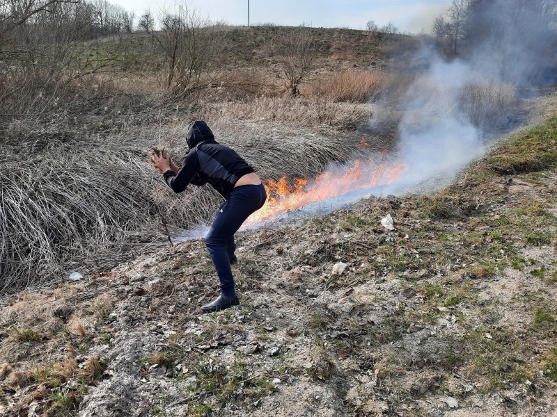 В Калининградской области установили поджигателя сухой травы