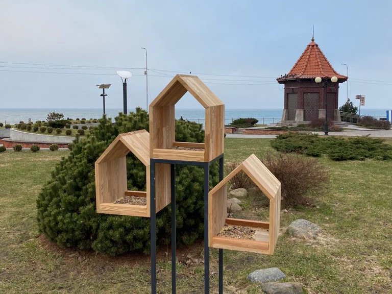 Под Калининградом установят новые вендинговые аппараты с кормом для птиц