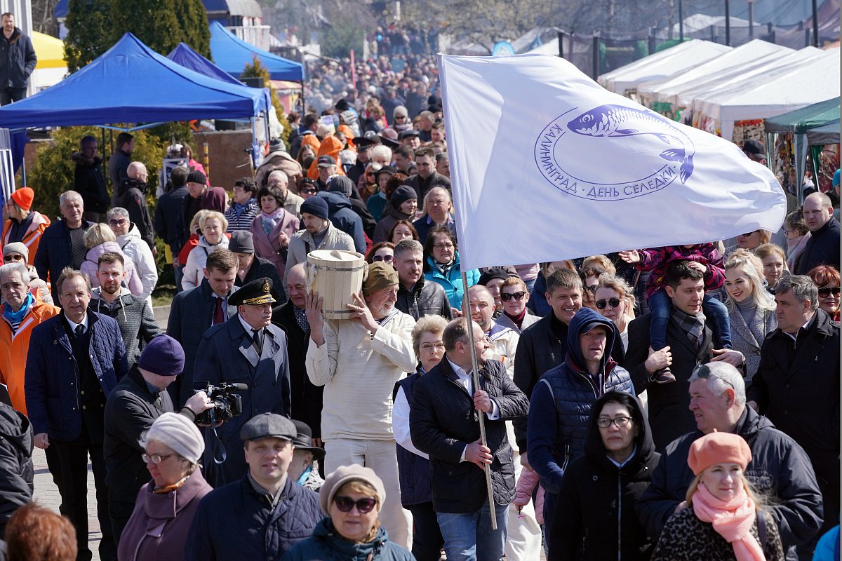В Калининграде отметят «День селедки-2022»(программа праздника)