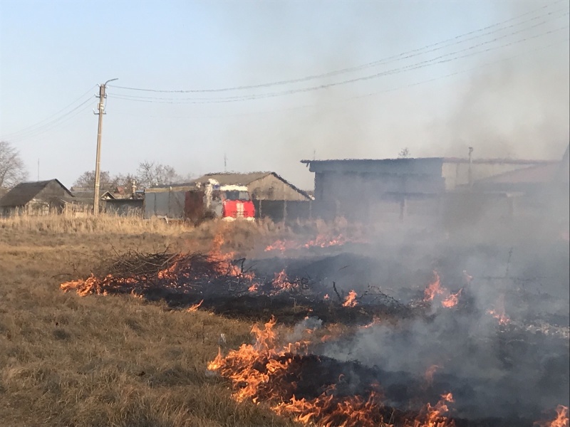 С начала года в Калининградской области  был ликвидирован 231 травяной пал