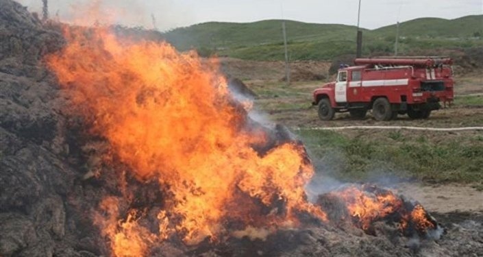 В Калининградской области горело сено на двух гектарах