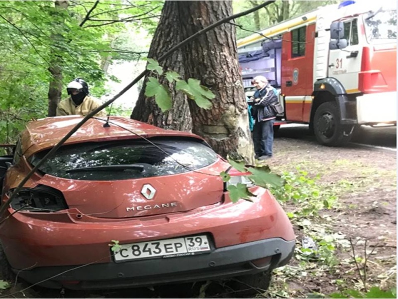 Пожарно-спасательные подразделения МЧС принимали участие в ликвидации ДТП под Калининградом