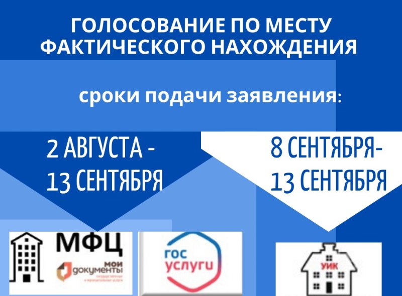 2 августа в Калининградской области начинается прием заявлений для голосования по месту нахождения