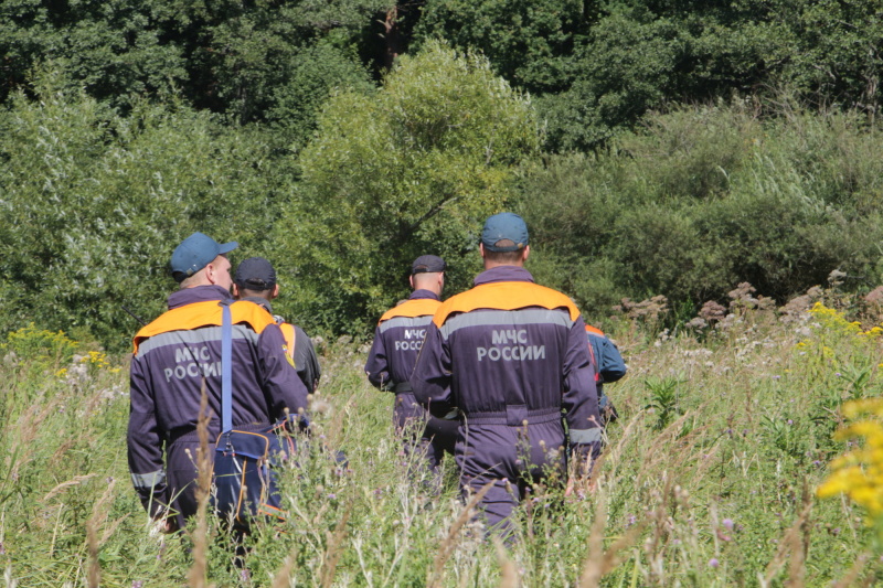 В Калининградской области спасатели нашли женщину, потерявшуюся накануне в лесу