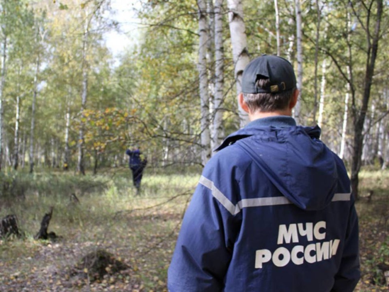 На окраине Калининградской области спасатели вывели из леса грибников-неудачников