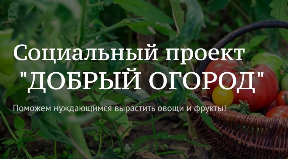 В Общероссийской акции «Добрый огород»  лидируют агроволонтёры из Калининградской области