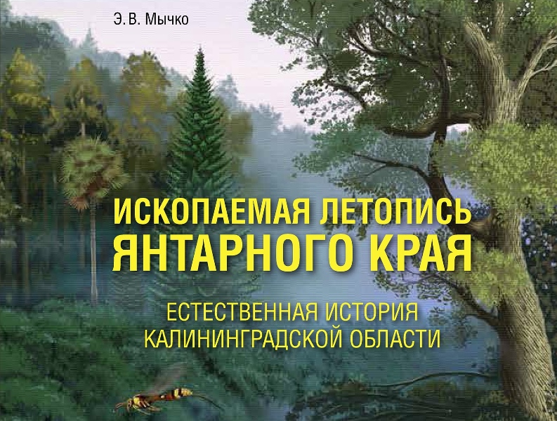 Издана книга о геологии и палеонтологии Калининградской области