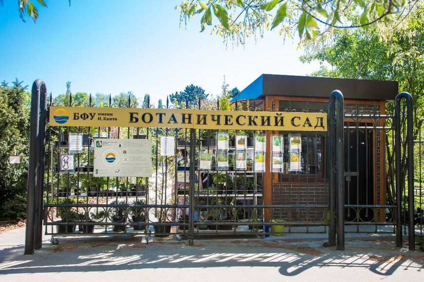В Калининграде временно закрылся ботанический сад