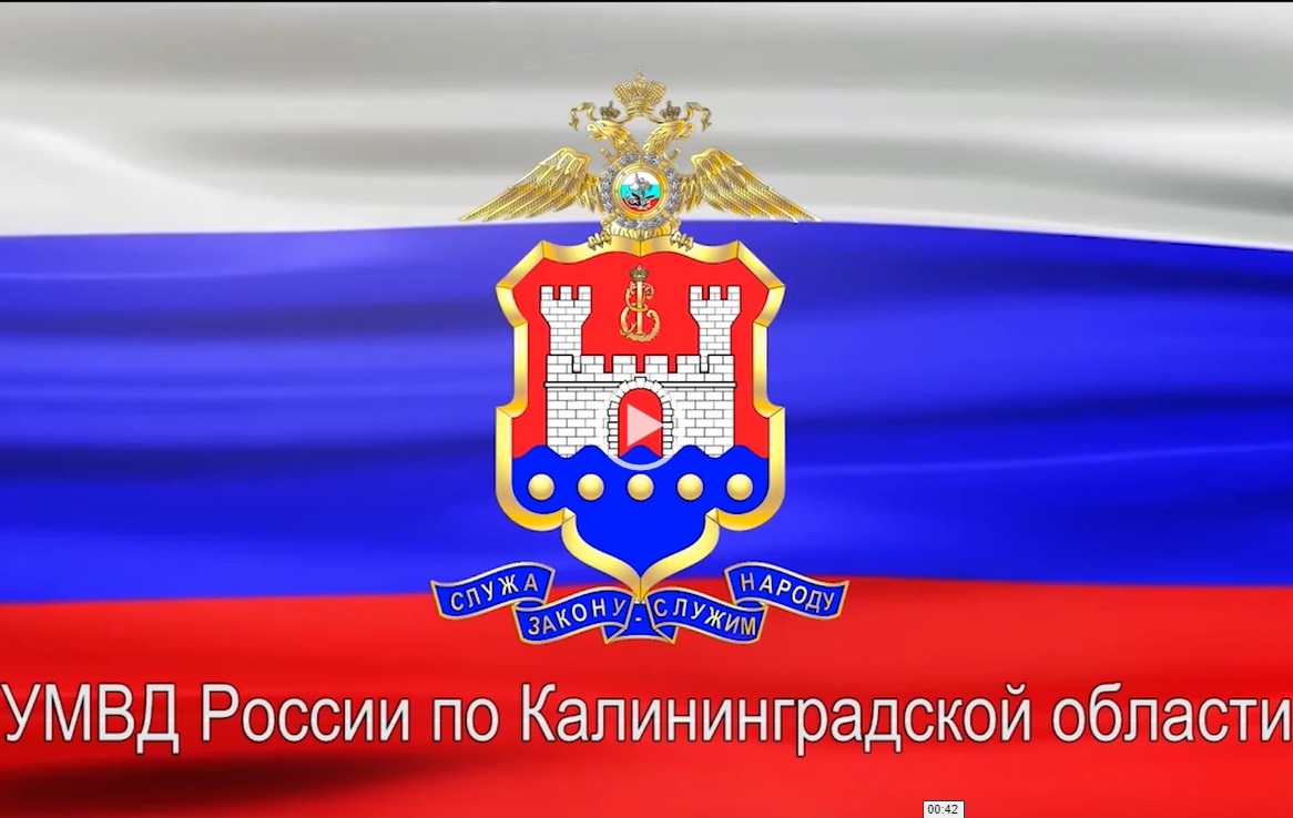 В Калининграде ИП привлекли к ответственности за использование чужих логотипов